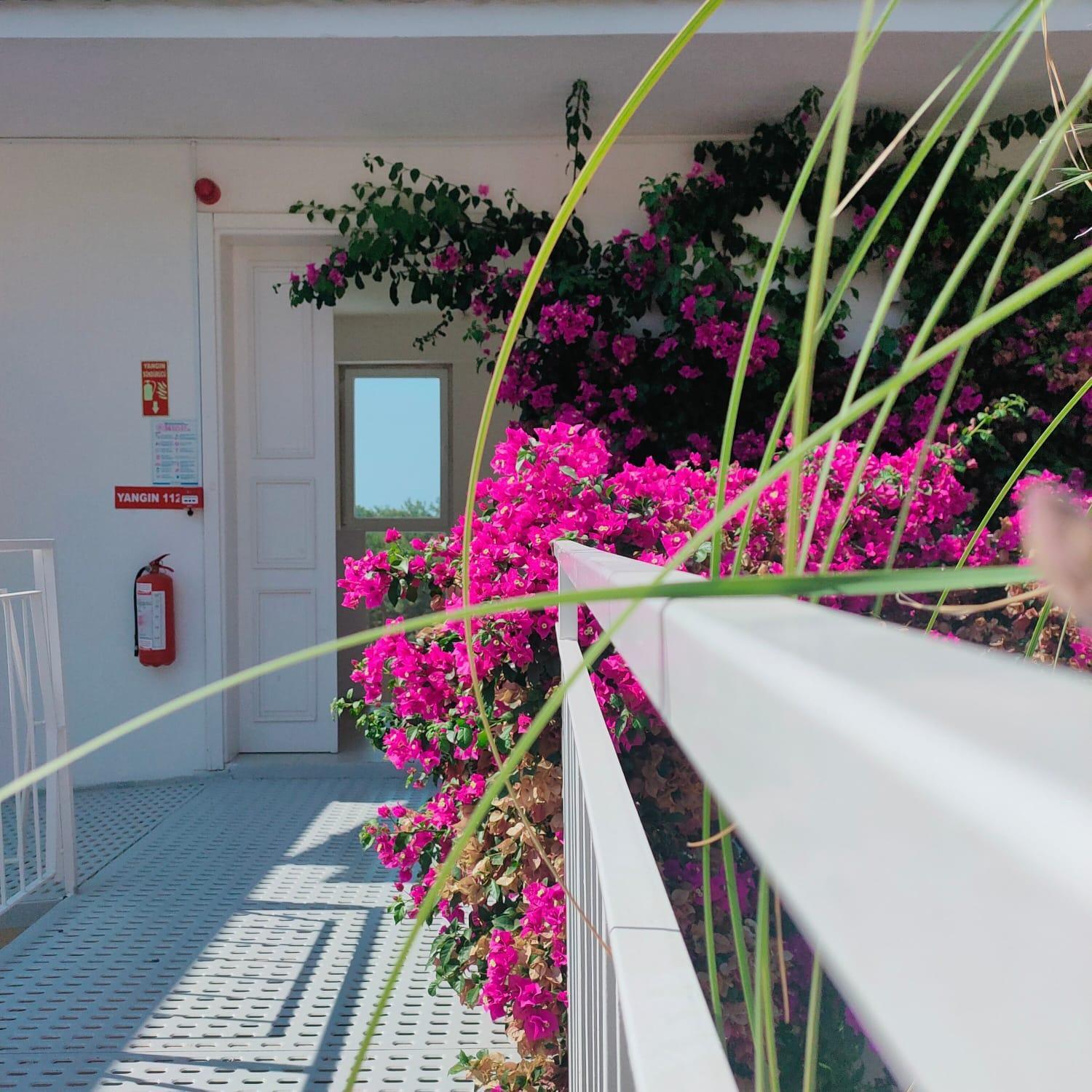 Faralya Tuz Apart Hotel Екстериор снимка